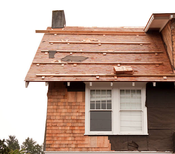 Affordable Siding Repair and Maintenance Services in Moscow, ID